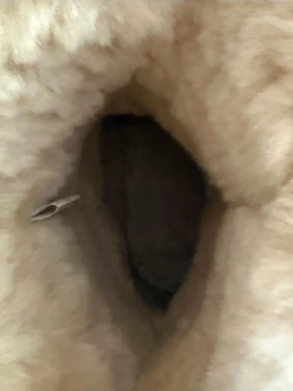 BearPaw like new